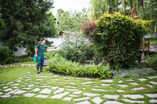 Best Affordable Pest Control Services  in Mulberry, IN