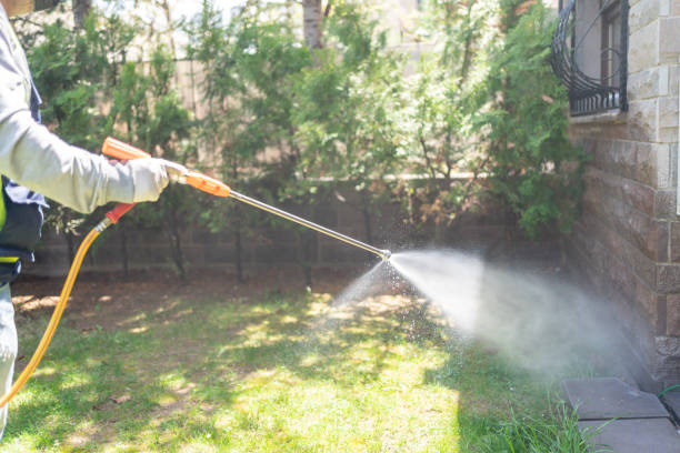 Best Best Pest Control Companies  in Mulberry, IN