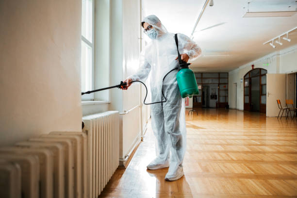 Best Termite Control Services  in Mulberry, IN