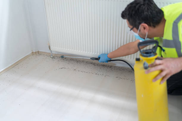 Best Exterminator Services  in Mulberry, IN