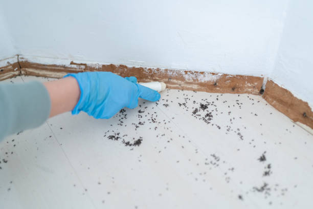 Pest Control for Restaurants in Mulberry, IN